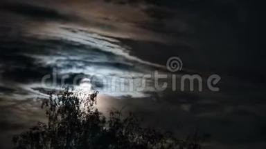 满月通过乌云和树木在夜空中移动。 时光流逝。
